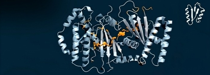 Proteomics Structural Data Mapping