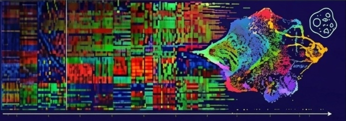 Transcriptomics Research Domain